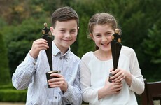 'They reflect all that is good about our society': These are Ireland's People of the Year