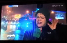 "Don't swim in the sea!": Praise rolling in for the country's most windswept TV reporter