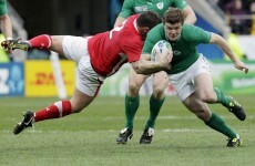 Gutted skipper O'Driscoll hails Blarney Army