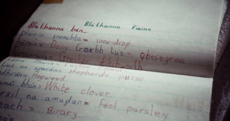 Take a walk around the haunting ruins of this old Irish school