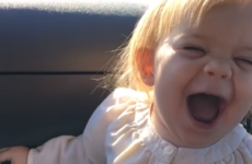 This adorable two-year-old girl lip-syncing Adele's Hello absolutely kills it