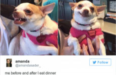 14 tweets about food people who are always hungry will relate to