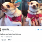 14 tweets about food people who are always hungry will relate to