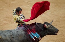 Video: Bullfighter survives being gored through the face