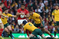 The Dragons are unhappy with Warren Gatland and the WRU over the Faletau affair
