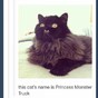 Here's what went viral today: Wednesday