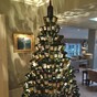Pubs have started putting up their own Christmas trees made out of wine bottles