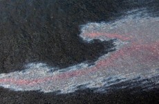 Inquiries launched into New Zealand oil slick