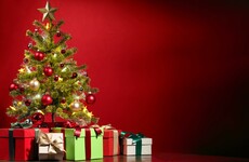 Gardaí go hi-tech to combat Christmas tree thieves