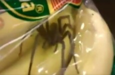 Loads of Irish media fell for this video from a comedy Facebook page