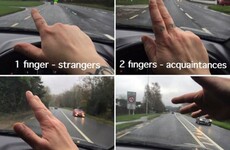 This image perfectly sums up Irish countryside road etiquette