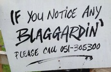 15 of the most Waterford things that have ever happened