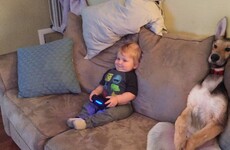 Here's what went viral today: Tuesday