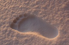 Siberian officials claim to have found Yeti tracks