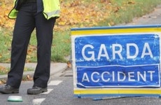 Man (45) killed after being hit by car when moving dead horse off the road