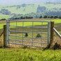Boy (8) dies in Galway farming accident
