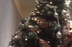This Northern Irish girl just demonstrated why alcohol and Christmas trees don't mix