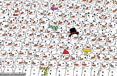Everyone is going mad trying to find the panda in this festive photo