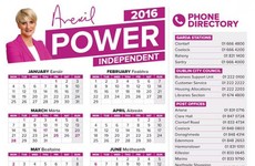 Averil Power defends using taxpayers' money to print 73,000 calendars