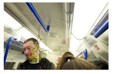 Someone put up mistletoe in a London Tube car and no one was having it