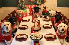 A couple made a 'kids table' at Christmas dinner for their dogs
