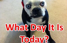 Do You Know What Day Is It Today?