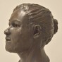 Ireland's first farmers were far different from the Irish we know today