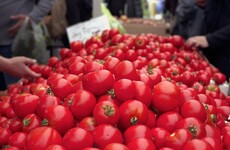 Here's why you should never put tomatoes in the fridge