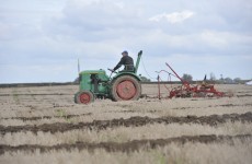 cap payments to irish farmers