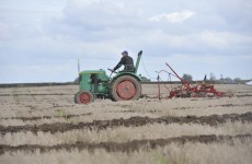 CAP reforms propose new focus on 'green' farming