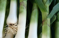New year, new you. Why not grow your own. First up, Leeks
