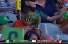 This kid eating a whole watermelon at a cricket game is the hero we all needed
