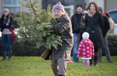 Could you break the Irish record for how far you can throw a Christmas tree?