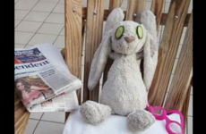 A toddler's bunny got lost in a five-star Irish hotel and became a Facebook sensation