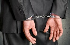 Three strikes and life: This is Renua's radical policy on crime