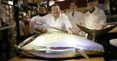 This massive bluefin tuna was just sold for €108,000