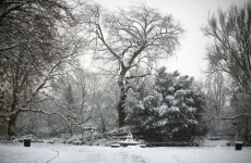 January will be the coldest month this winter - forecast