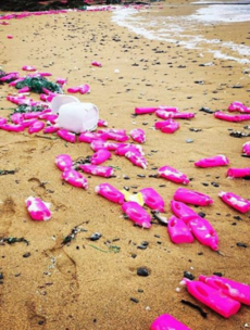 Hundreds of bright pink bottles of Vanish have been washing up on an English beach
