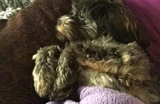 10 thoughts it's perfectly OK to have when you're sick in January