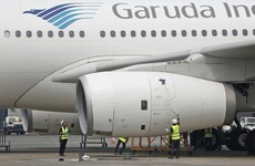 Plane delayed for four hours due to bee on board