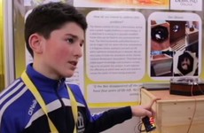 Two second year students from Limerick have invented air-conditioning for bees