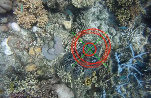 There's a killer robot patrolling the Great Barrier Reef · TheJournal.ie