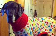 10 reasons why you're a genius for staying in tonight