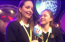 These transition year students just won top prize at the Young Scientist competition