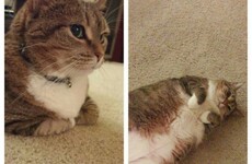 Here's what went viral today: Friday