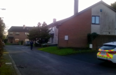 Woman arrested after dead body of man found in Limerick back garden
