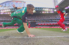 Run out by a nose! The most bizarre and painful dismissal you're likely to see