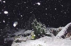 13 photos of Ireland looking lovely in the snow this weekend