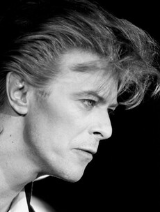'Our love of Bowie brought me and my wife together. I couldn’t bring myself to wake her to tell her the news'