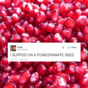 14 truly middle class injuries (caused by Nutribullets, spiralizers, decking, brie)
